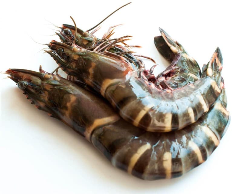 Big Tiger Prawns