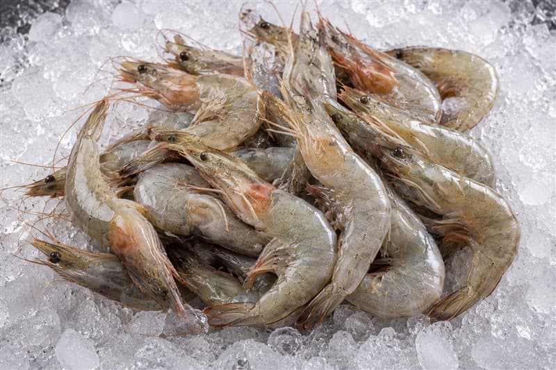 Prawns