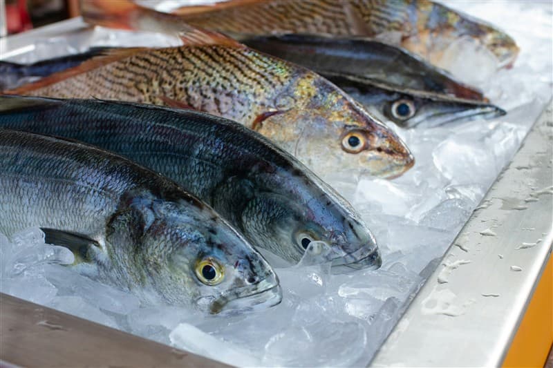 Fresh seafood